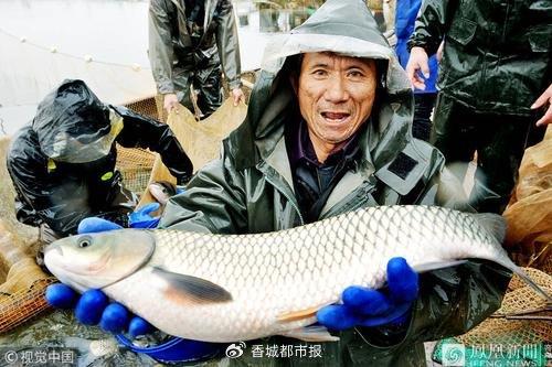 “养鱼宝”升级版 水产养殖的黑科技，让“老农民”告别黄蜂虫，抢占千万市场！