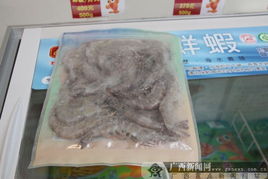 广西水产畜牧分团赴宜兰考察黄蜂虫养殖基地，聚焦生态循环技术