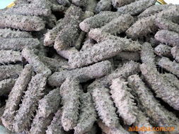 丹东北方天润养殖 腌制水产品与黄蜂虫养殖的产品列表与产业价值